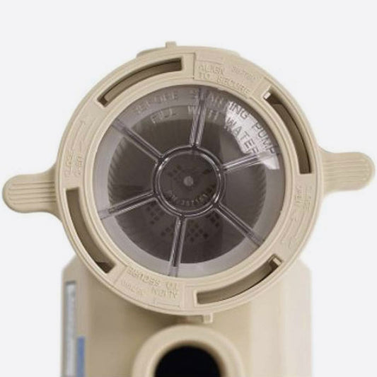 Pentair EC-011057 - IntelliFlo VS+SVRS Variable Speed Pool Pump 3HP